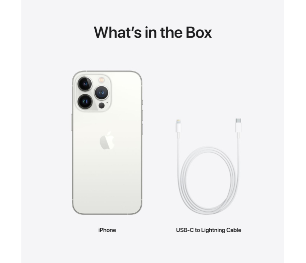 Apple iPhone 13 Pro 256GB Silver - 681171 - zdjęcie 10